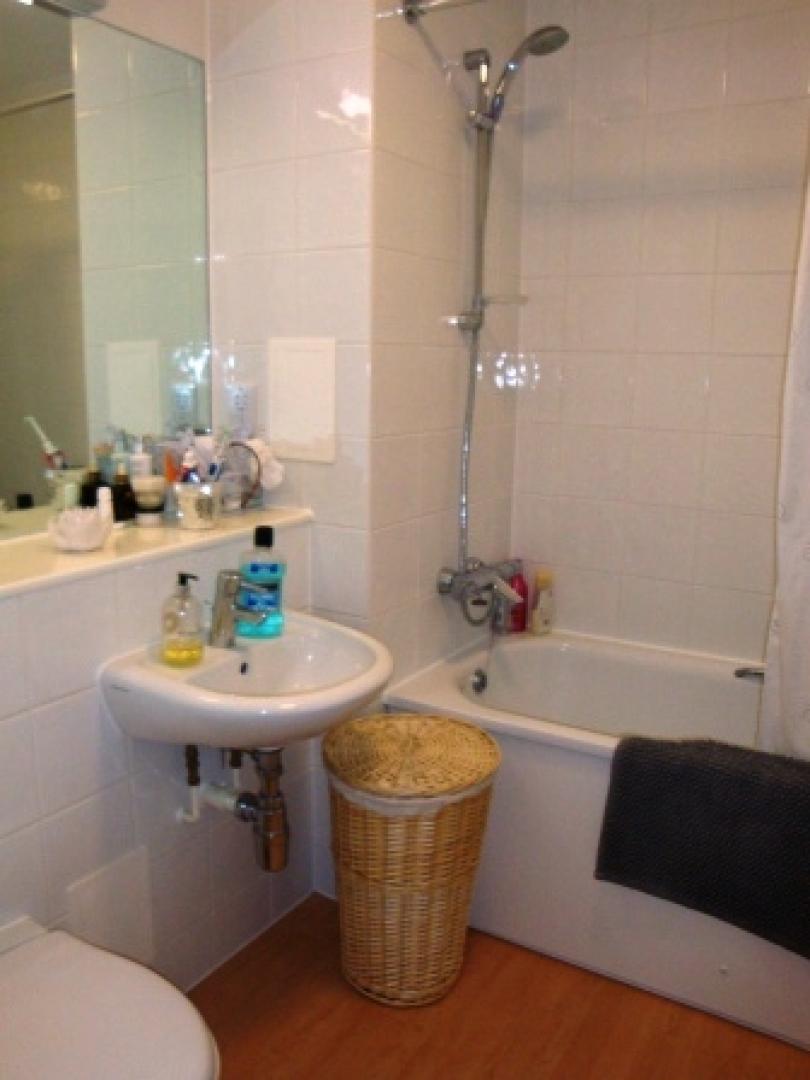 			PRIVATE ROOF TERRACE/NEW DEVELOPMENT, 1 Bedroom, 1 bath, 1 reception Flat			 Plough Close, KENSAL GREEN